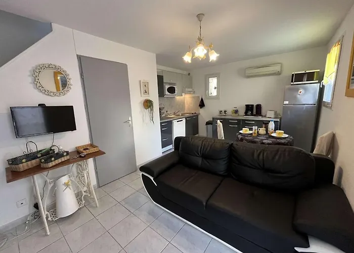 Maison De Climatisee Avec Terrasse, Parking Prive, Proche Et Commerces - Fr-1-387-190 Lejlighed